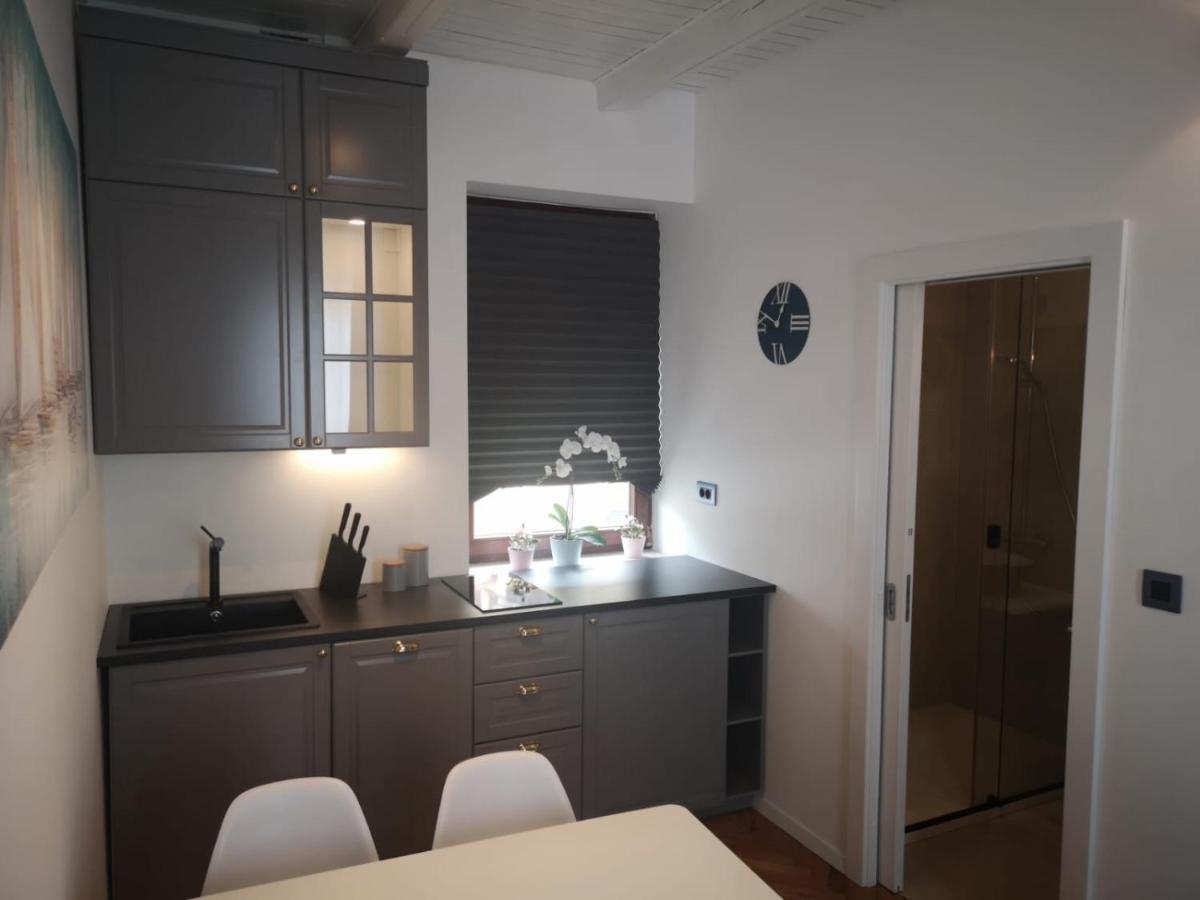 Croatica Apartments 茨里克韦尼察 外观 照片
